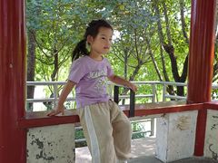 -黄村公园