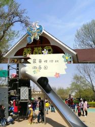 -酷酷兔少儿拓展天地