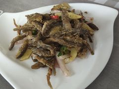 -领鲜土菜馆