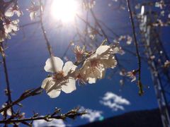 -叠溪松坪沟景区