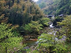 -藏龙百瀑风景区