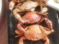 -张会海鲜饭店(东戴河店)