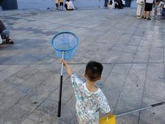 -南翔镇银翔湖公园