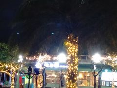 -亚龙湾中心广场