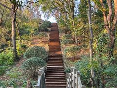 -南京市江宁方山