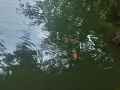 -珠海圆明新园