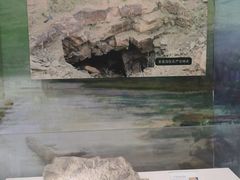 -辽宁古生物博物馆