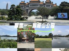 -顺峰山公园