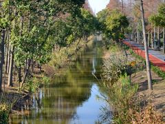 -上海长兴岛郊野公园