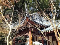 -汇龙潭