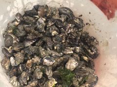 -北海金海湾红树林生态旅游区