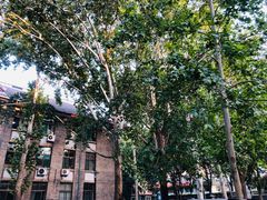 -山东师范大学(千佛山校区)