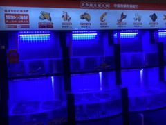 -七欣天香辣蟹火锅(闵行浦江欢乐颂店)