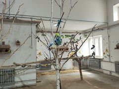 -哈尔滨北方森林动物园