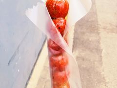 冰糖葫芦-和禄德冰糖葫芦