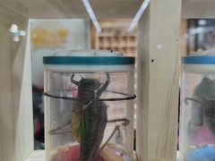 -三旗百汇商品城