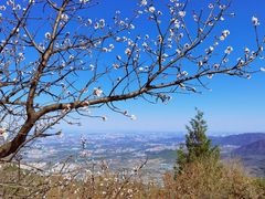 -北京鹫峰国家森林公园