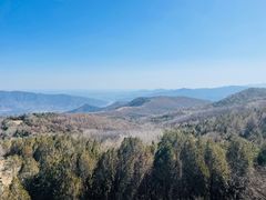 -阳台山自然风景区