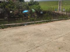 -水库河鲜村