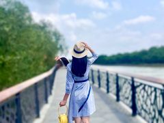 -东寨港红树林旅游区