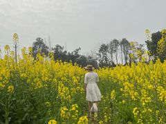-蜀绣公园