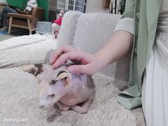 -藏猫猫咖啡主题馆(中央大道店)