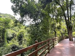 -野象谷景区