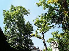 -灵谷景区