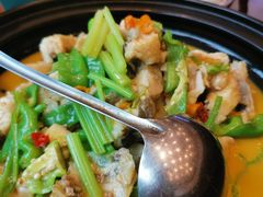 -饭怕鱼(阳光100店)