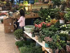 -双季花艺园艺市场(浦东店)