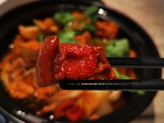 猪肉粉条炖冻豆腐-106餐厅(山水文园店)