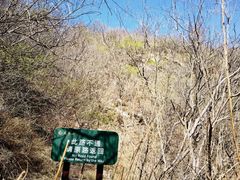 -北京凤凰岭