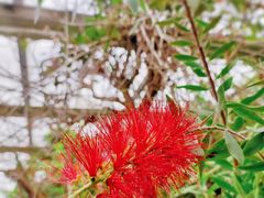 -呀路古热带植物园