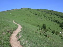 -大姆山草场