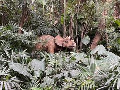 -广州长隆野生动物世界