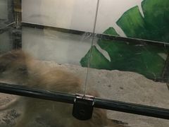 -藦茜花园宠物主题亲子互动体验馆(国顺东路店)