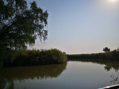 -大湾区中央湿地公园