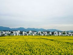 -东梓关景区村庄