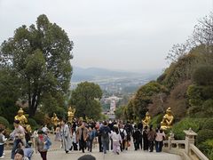 -庐山风景名胜区-东林大佛