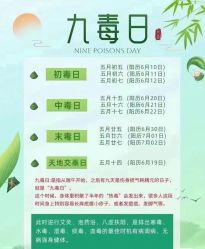 -YESIDO椰岛美容
