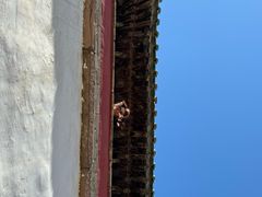 -普陀宗乘之庙(小布达拉宫)
