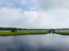 -塞罕坝国家级自然保护区