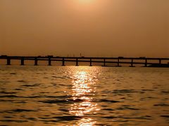 -宝安西湾红树林湿地公园