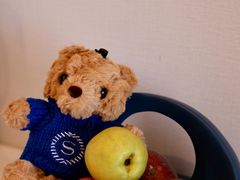 -广州粤海喜来登酒店