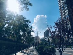 -梅红羊肉馆(赭山西路店)