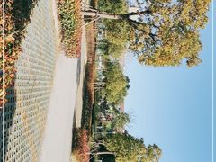 -秀沿路地铁站停车场