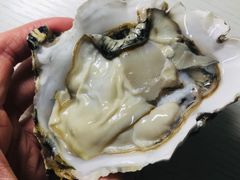 -胶东海鲜大排档(北太平庄店)