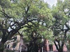 -广东胜利宾馆西关粤中餐厅