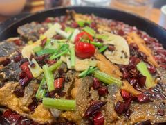 -老板恋上鱼(恒隆广场店)