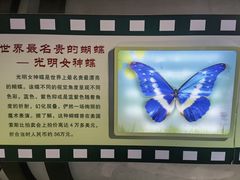 -上海昆虫博物馆